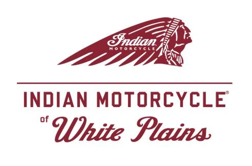2021 Indian Scout - Image 19 of 19