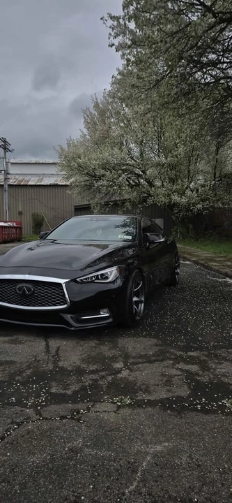 2021 Infiniti Q60 - Image 2 of 16