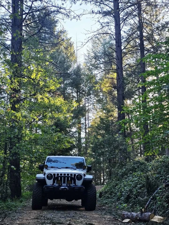 2021 Jeep JT Gladiator - Image 5 of 8