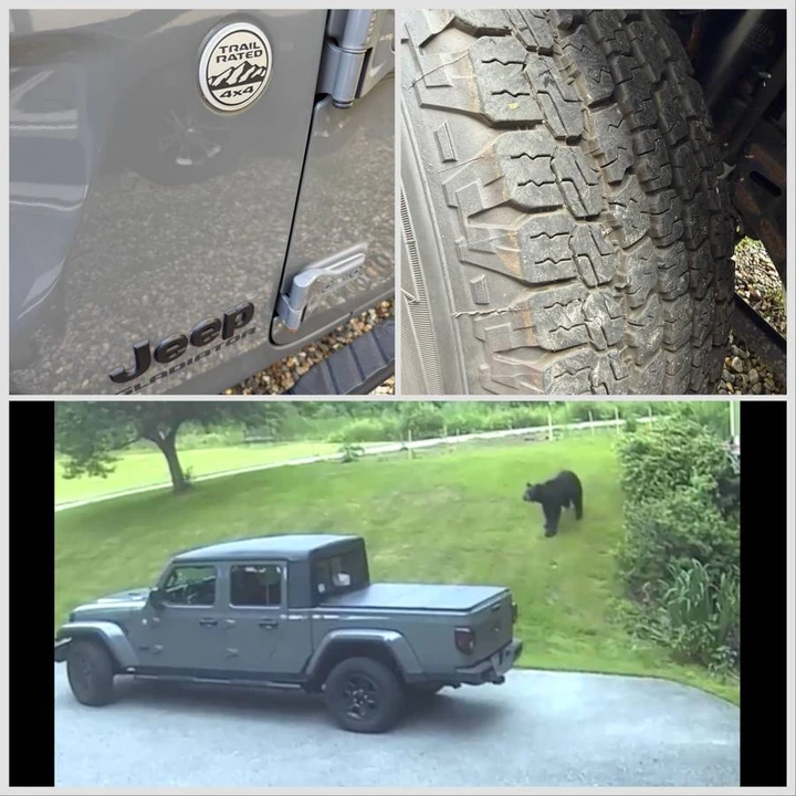 2021 Jeep JT Gladiator - Image 8 of 10