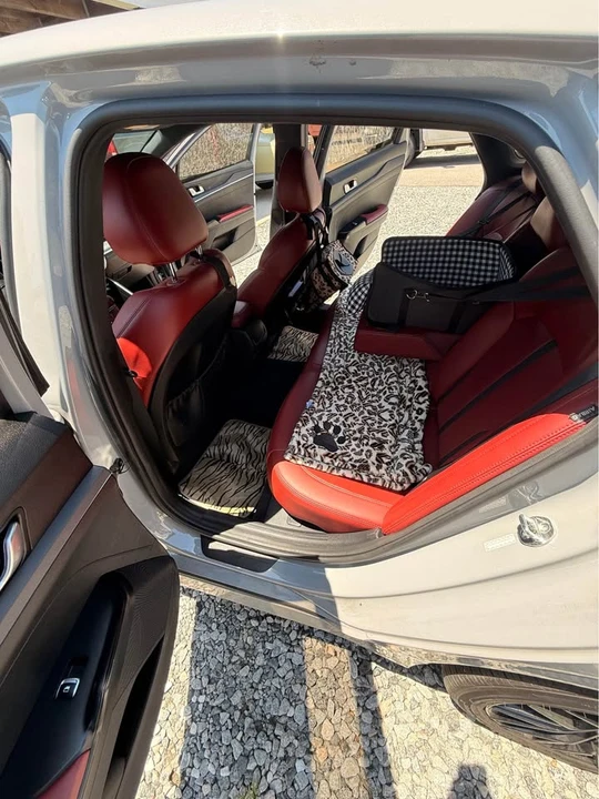 2021 Kia Optima/K5 - Image 4 of 9