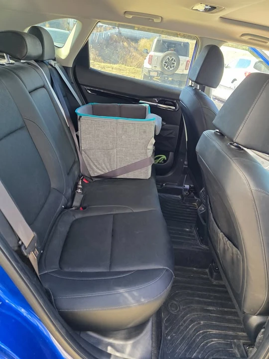 2021 Kia Seltos - Image 9 of 9