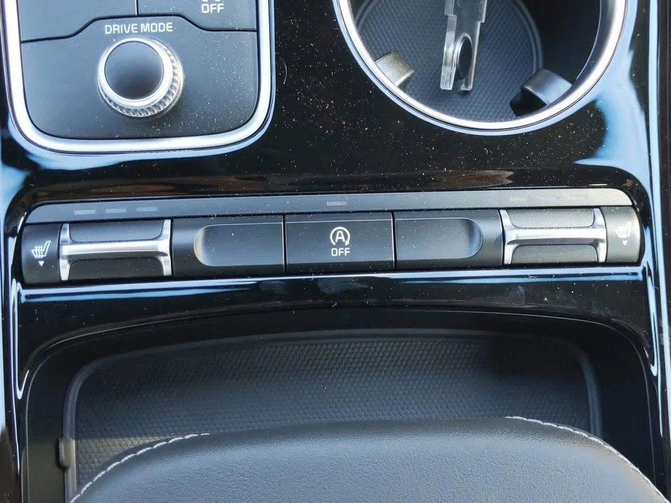 2021 Kia Stinger - Image 18 of 18