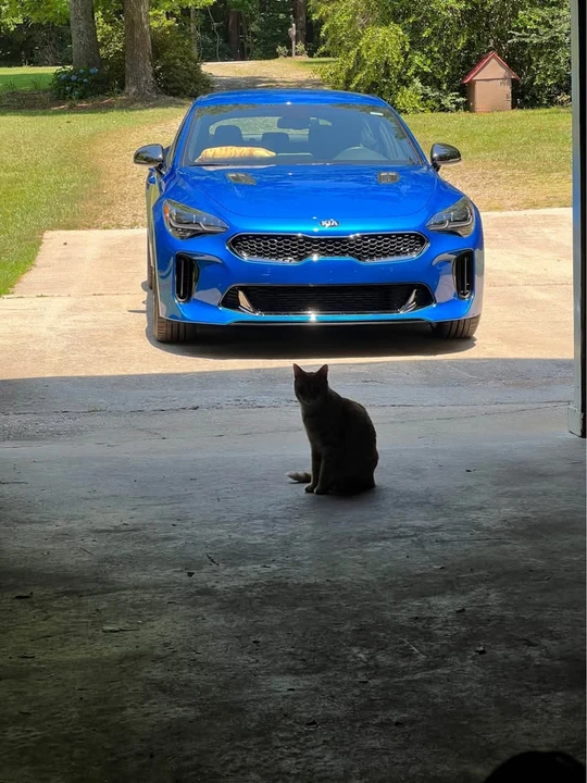 2021 Kia Stinger GT - Image 3 of 8