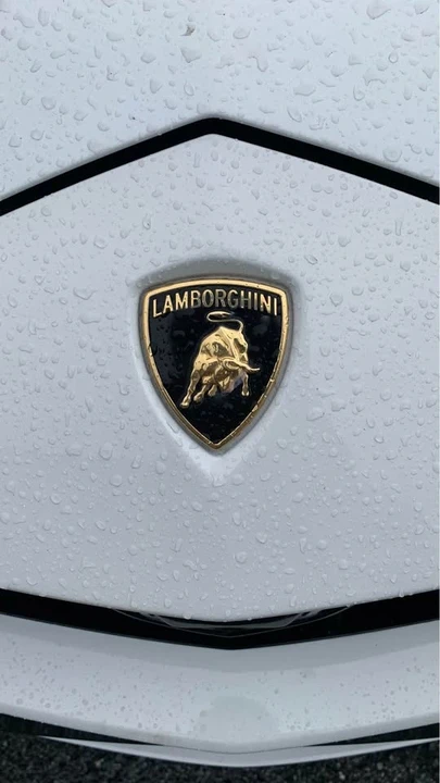 2021 Lamborghini Urus - Image 14 of 14