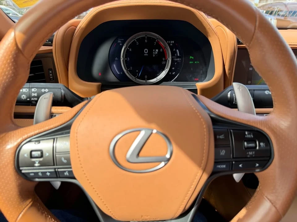 2021 Lexus LC - Image 15 of 17
