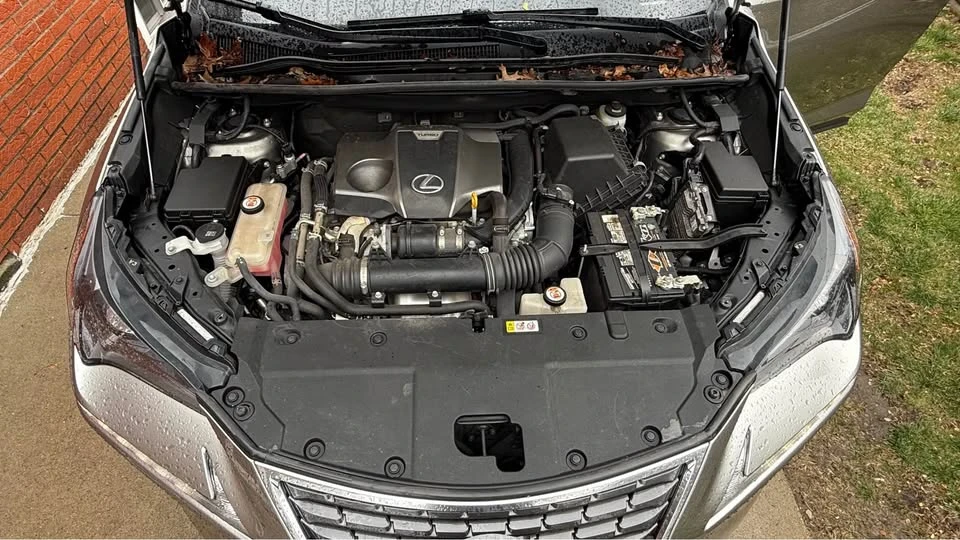 2021 Lexus NX 1st Gen - Image 14 of 14