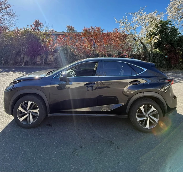 2021 Lexus NX 1st Gen - Image 8 of 14