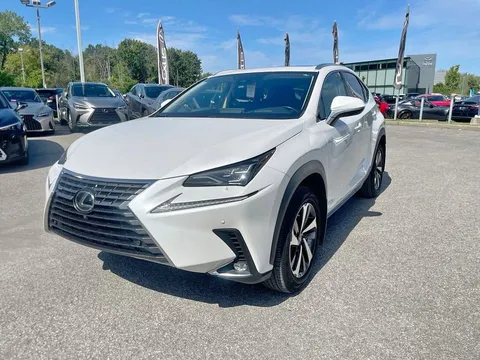 2021 Lexus NX 300 Executif