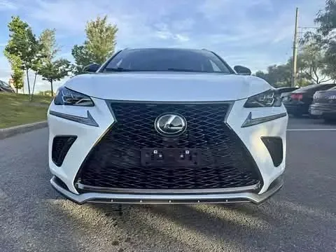 2021 Lexus NX F Sport
