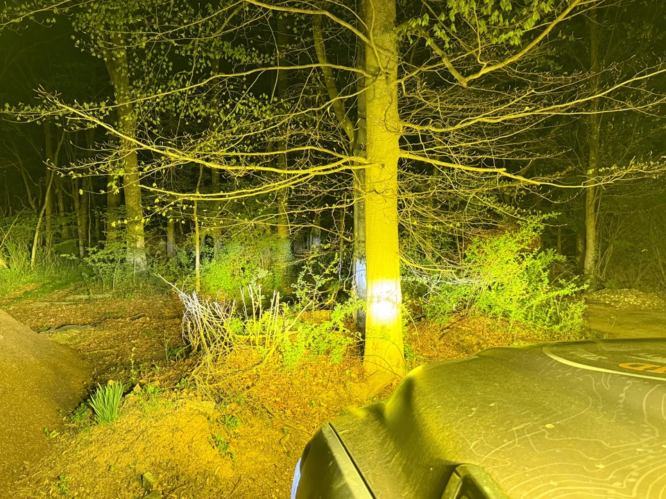 2021 Ram 2500 - Image 22 of 31