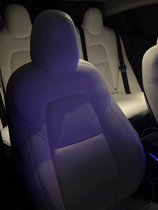 2021 Tesla Model 3 - Image 15 of 16