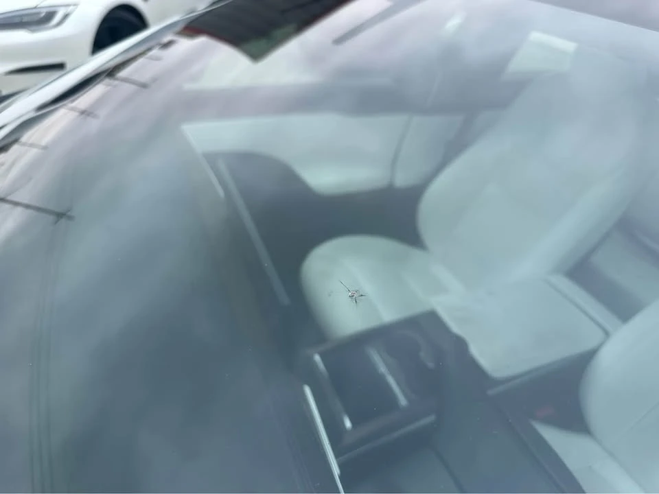 2021 Tesla Model S - Image 6 of 12