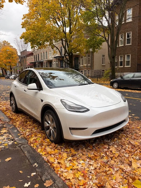 2021 Tesla Model Y - Image 11 of 11