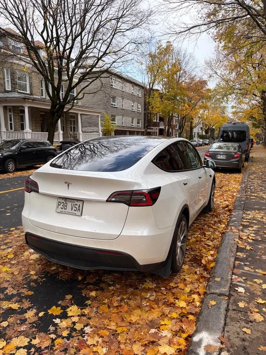 2021 Tesla Model Y - Image 3 of 11