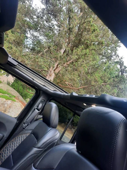 2021 Jeep JL Wrangler - Image 6 of 8