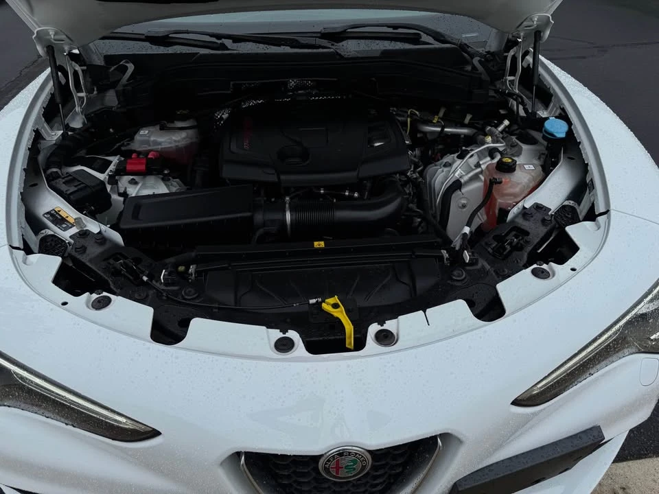 2022 Alfa Romeo Stelvio - Image 10 of 11