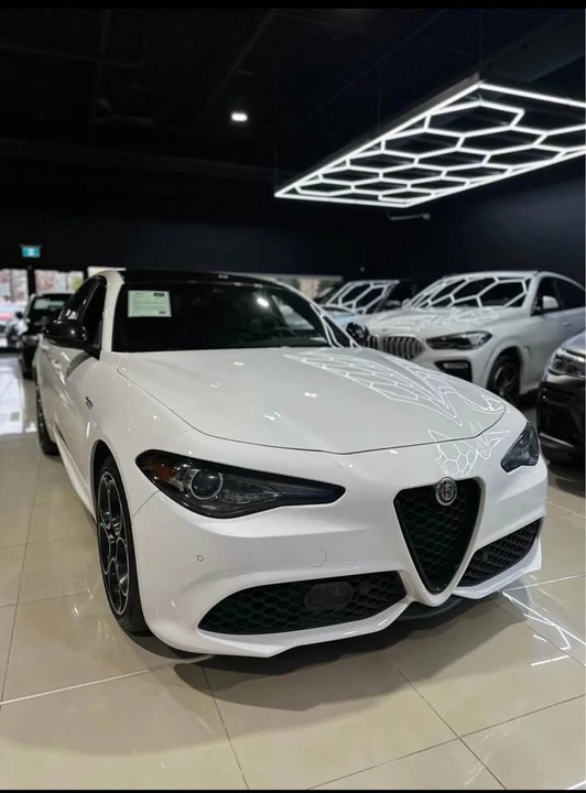 2022 Alfa Romeo Giulia - Image 3 of 16