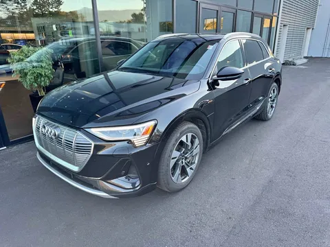 2022 Audi e-tron quattro Technik