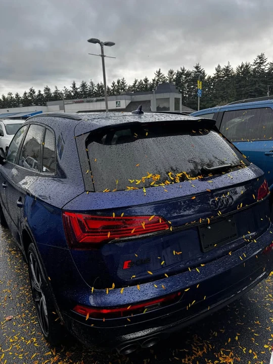 2022 Audi FY SQ5 - Image 4 of 5