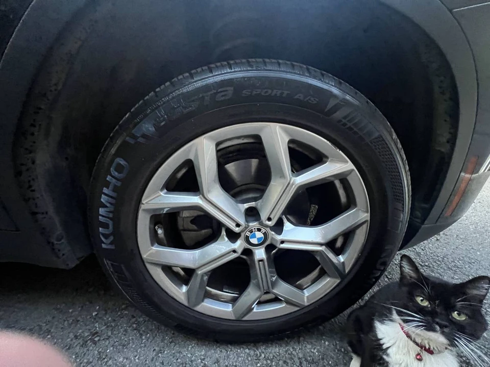 2022 BMW G01 X3 - Image 16 of 20