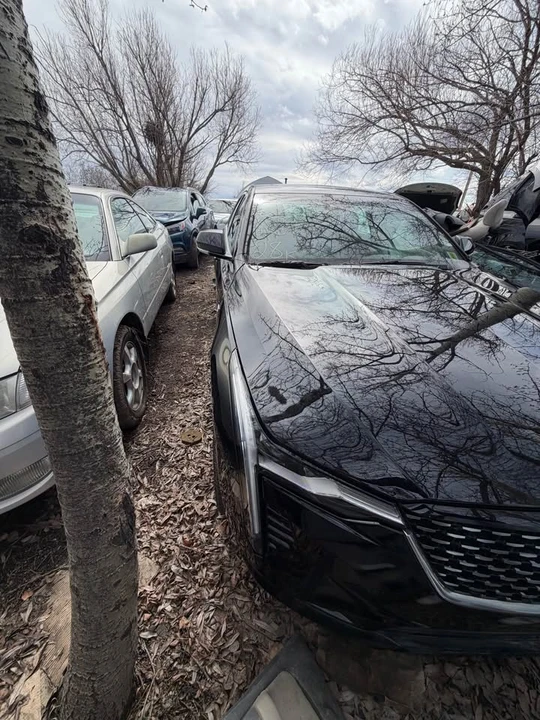 2022 Cadillac CT4 - Image 3 of 7