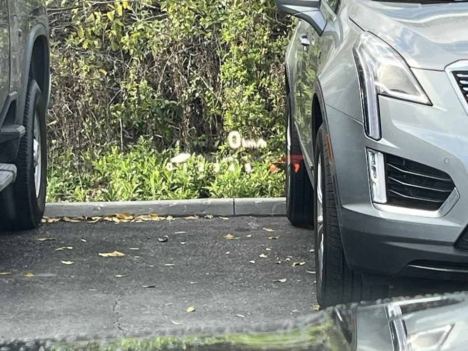 2022 Cadillac CT4 - Image 8 of 14
