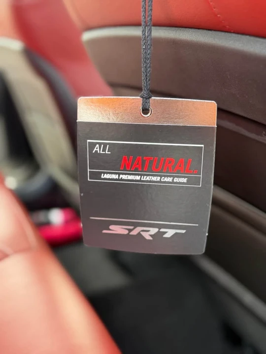 2022 Dodge Charger SRT Hellcat 7th Gen - Image 16 of 20