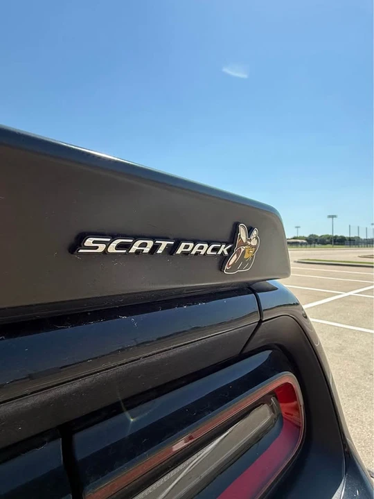 2022 Dodge Challenger SRT8 & 392 3rd Gen - Image 12 of 13