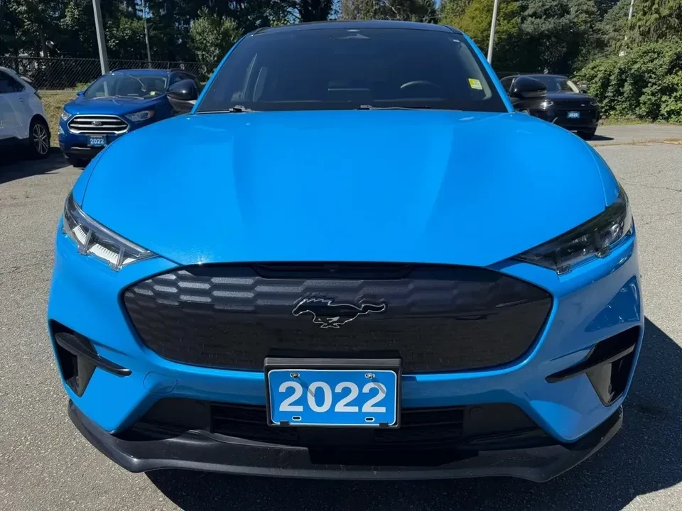 2022 Ford Mustang Mach-E - Image 19 of 20