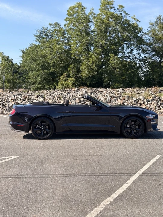 2022 Ford S550 Mustang - Image 8 of 17