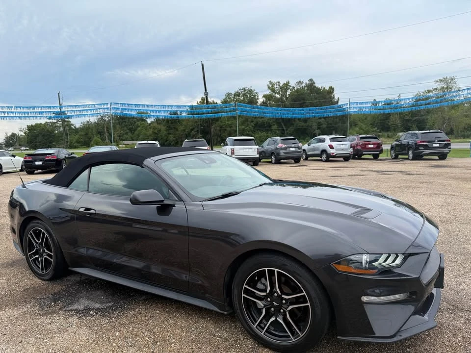 2022 Ford S550 Mustang - Image 13 of 13