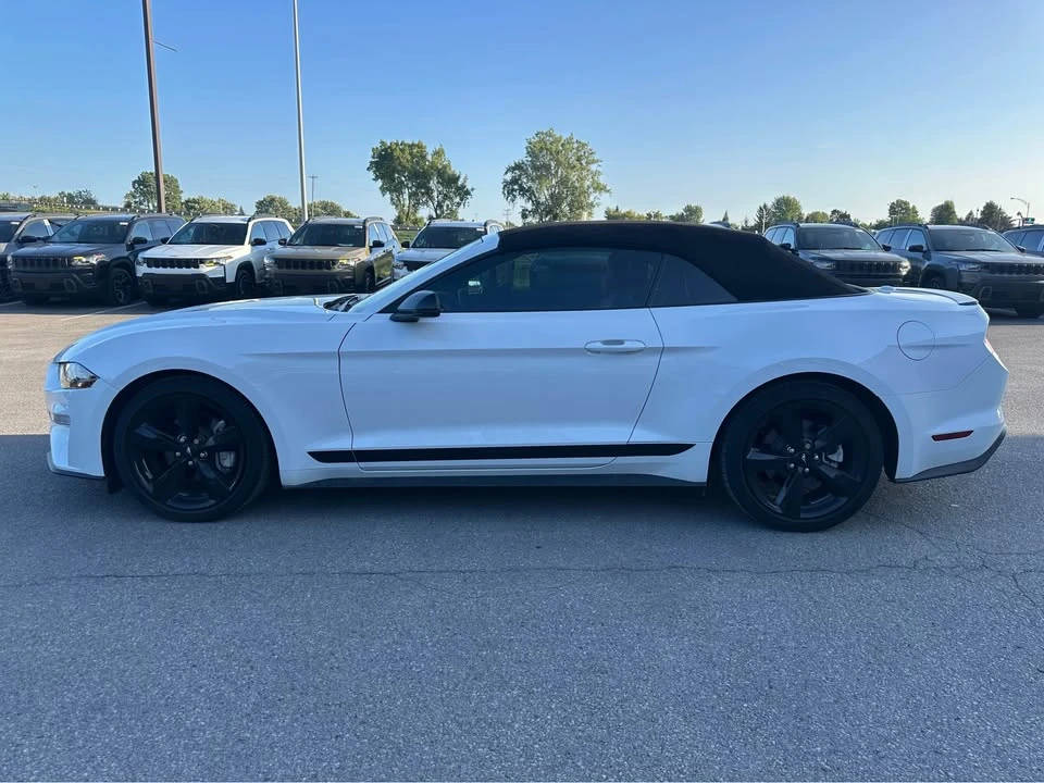2022 Ford S550 Mustang - Image 8 of 20