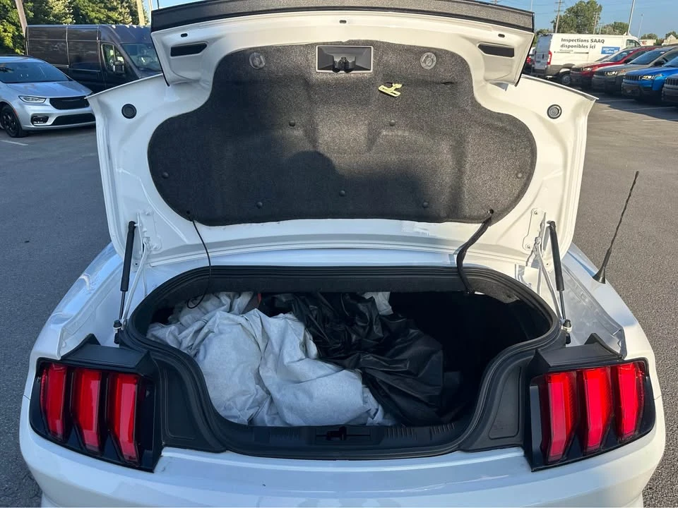 2022 Ford S550 Mustang - Image 19 of 20