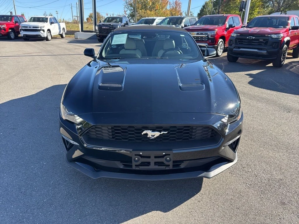 2022 Ford S550 Mustang - Image 8 of 12