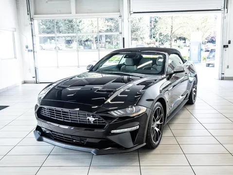 2022 Ford Mustang EcoBoost