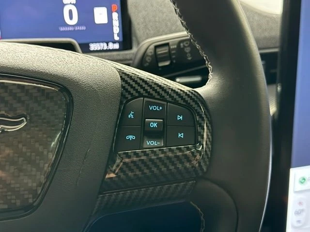 2022 Ford Mustang Mach-E - Image 19 of 21