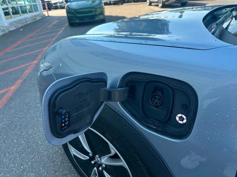 2022 Ford Mustang Mach-E - Image 12 of 12