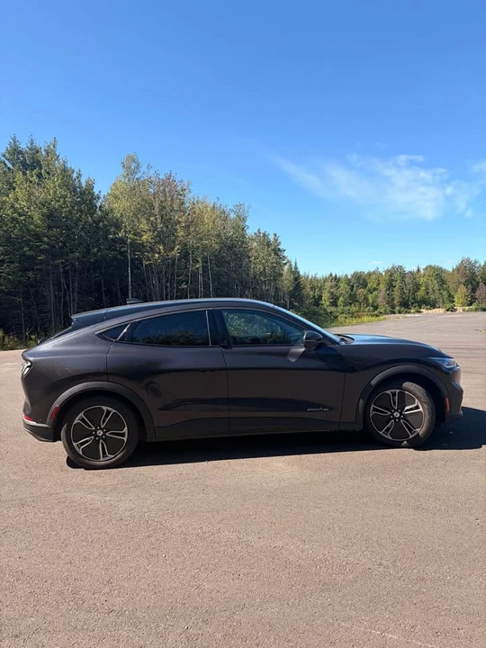 2022 Ford Mustang Mach-E - Image 6 of 13