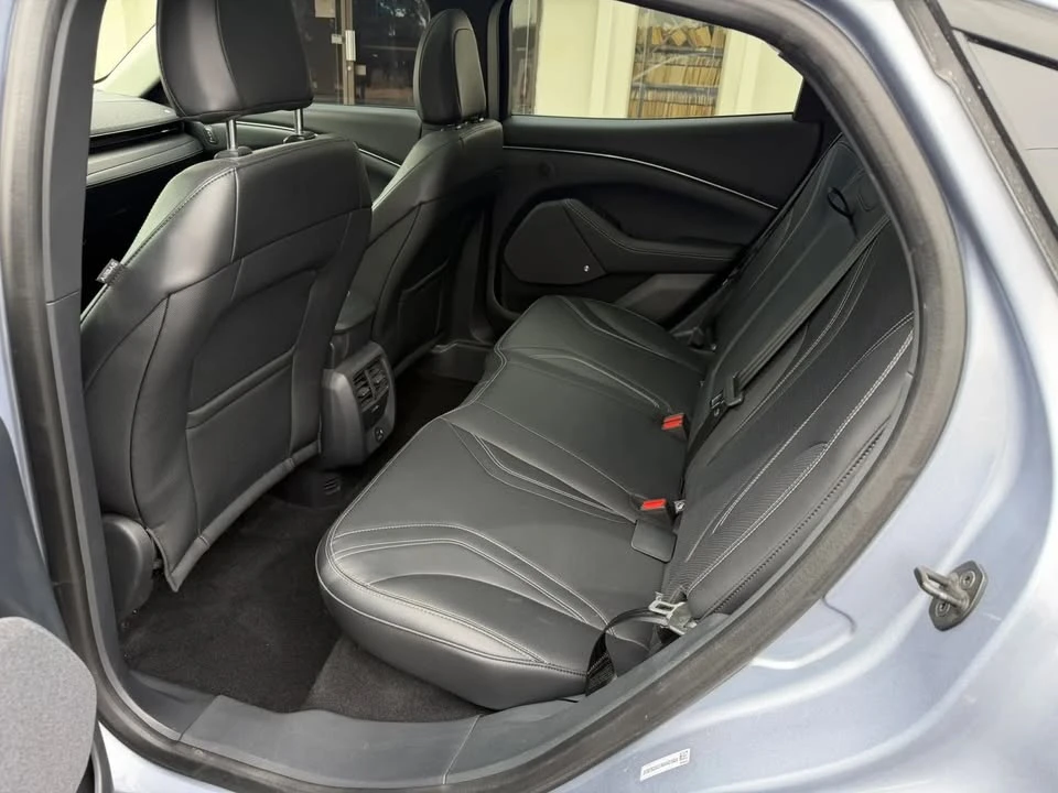 2022 Ford Mustang Mach-E - Image 15 of 20