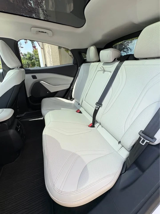 2022 Ford Mustang Mach-E - Image 15 of 17