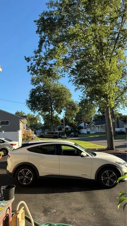 2022 Ford Mustang Mach-E - Image 3 of 18
