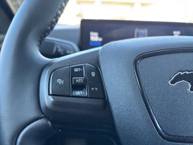 2022 Ford Mustang Mach-E - Image 12 of 19