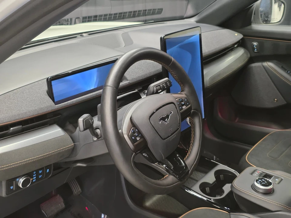 2022 Ford Mustang Mach-E - Image 20 of 21