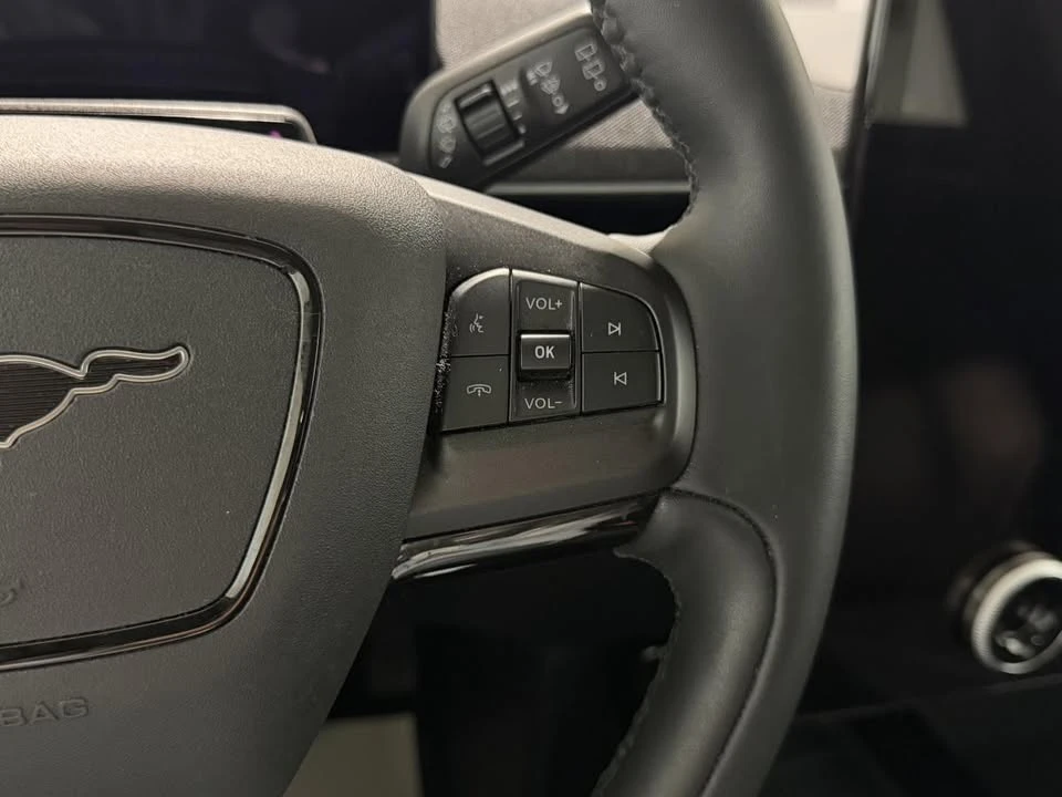 2022 Ford Mustang Mach-E - Image 19 of 20