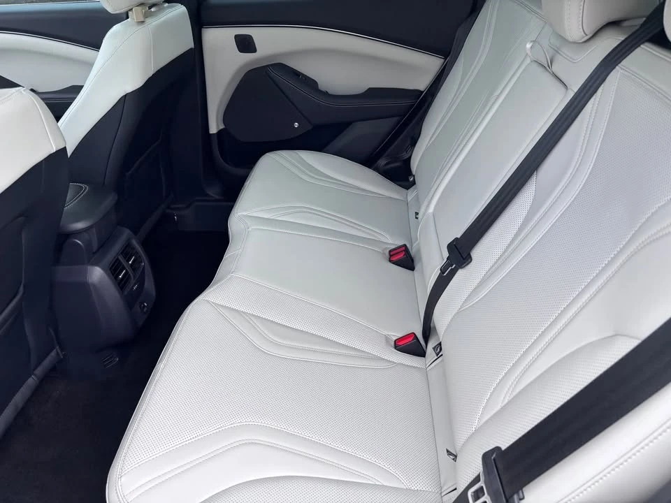 2022 Ford Mustang Mach-E - Image 16 of 20