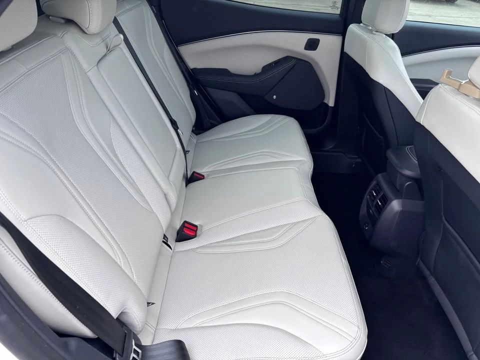 2022 Ford Mustang Mach-E - Image 15 of 20