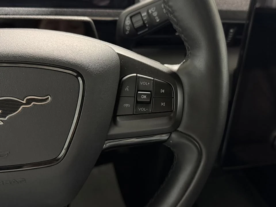 2022 Ford Mustang Mach-E - Image 19 of 20