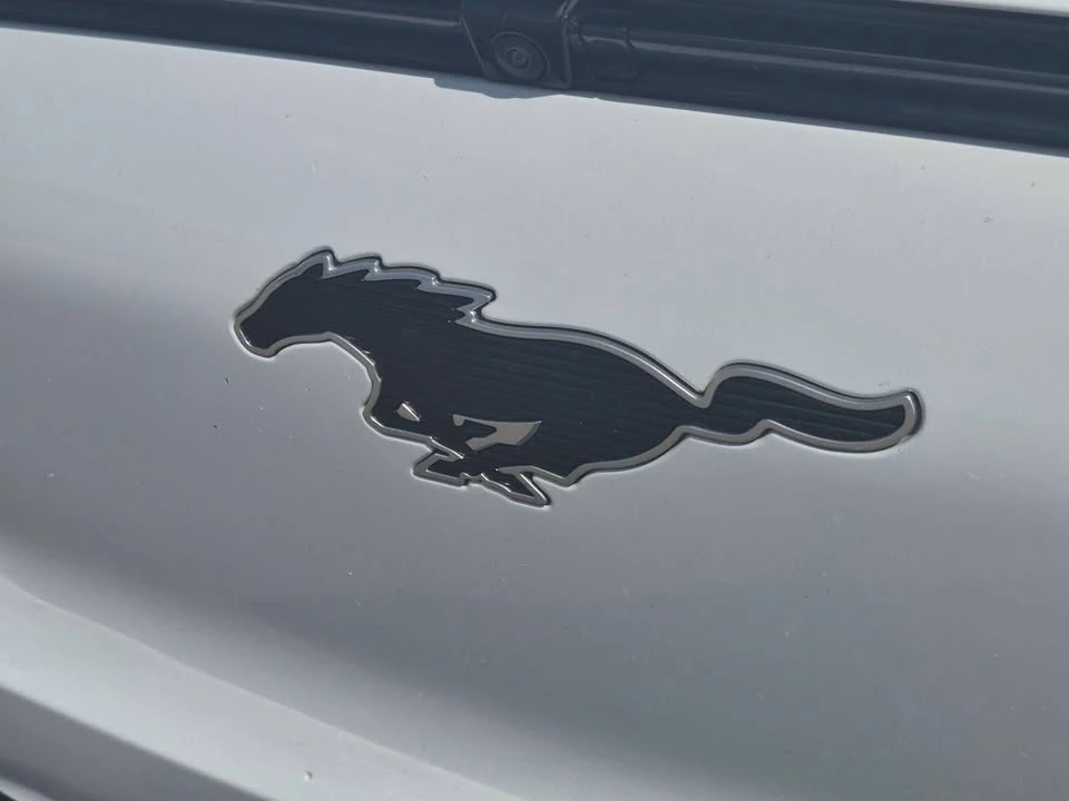 2022 Ford Mustang Mach-E - Image 8 of 19