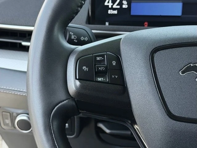 2022 Ford Mustang Mach-E - Image 20 of 21
